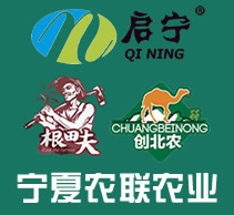 寧夏農聯農業科技有限公司